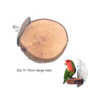Parrot Wood Stick