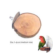 Parrot Wood Stick